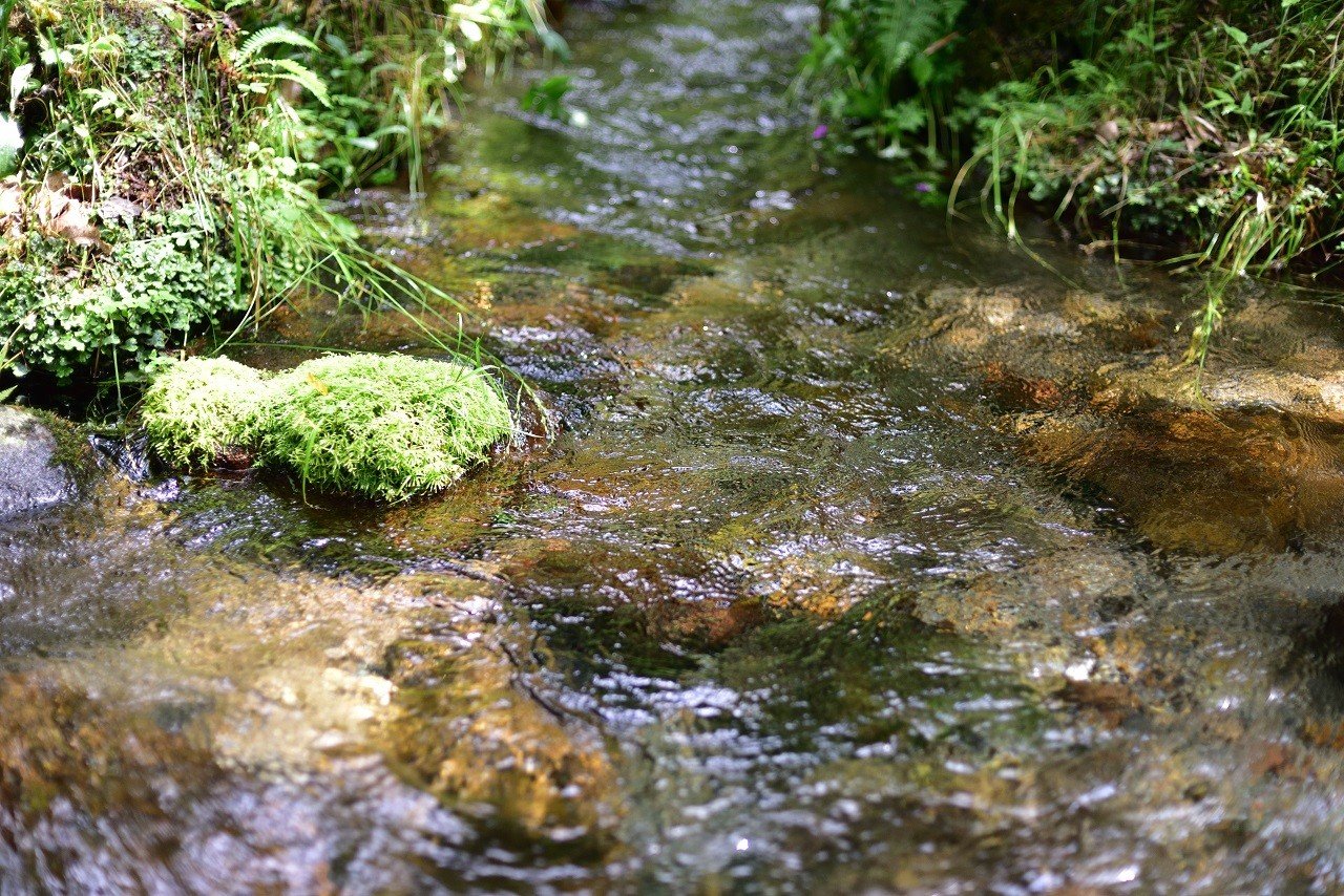 🏞️ 시오가마 냉천 (塩釜の冷泉) 이미지 4